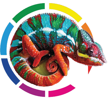 cropped-cropped-logo-172.png