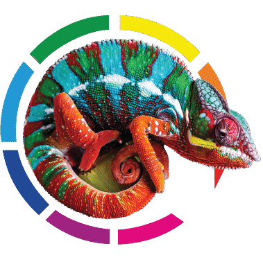 cropped-logo-172-1.png