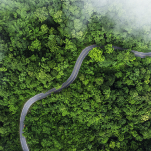 Aerial view of road in the middle of the forest , Top view road curve construction up to mountain, Rainforest ecosystem and healthy environment concept
