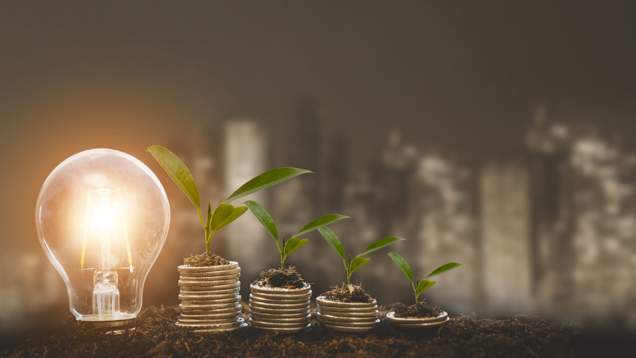 Growing Money Plant On Energy saving light bulb with piggy and tree growing on stacks of coins on line technology background, Coins business Finance And Investment Concept,Thinking and creative.