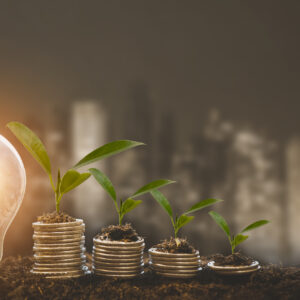 Growing Money Plant On Energy saving light bulb with piggy and tree growing on stacks of coins on line technology background, Coins business Finance And Investment Concept,Thinking and creative.
